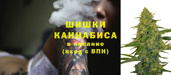 PSILOCYBIN Осташков