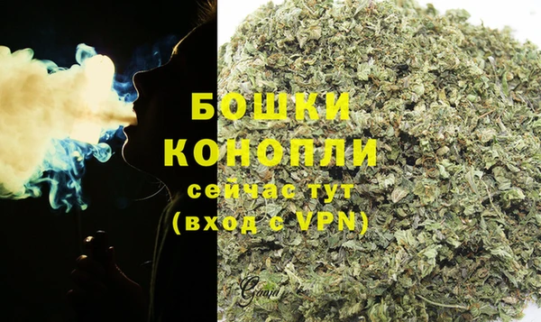 PSILOCYBIN Осташков