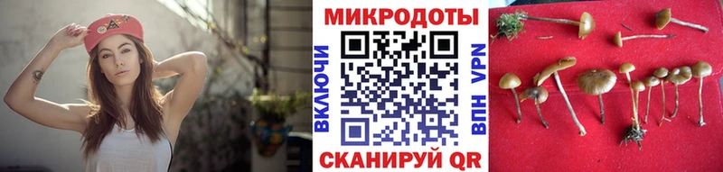магазин    Кировск  Псилоцибиновые грибы Psilocybe 