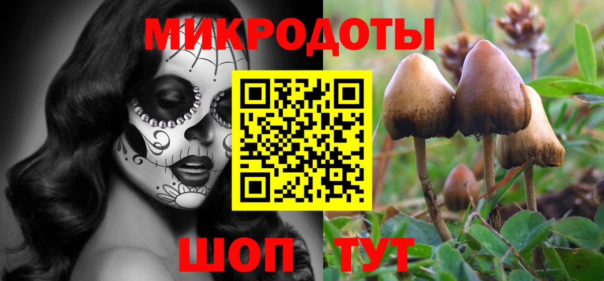 Кировск  Галлюциногенные грибы MAGIC MUSHROOMS  Вход с VPN 
